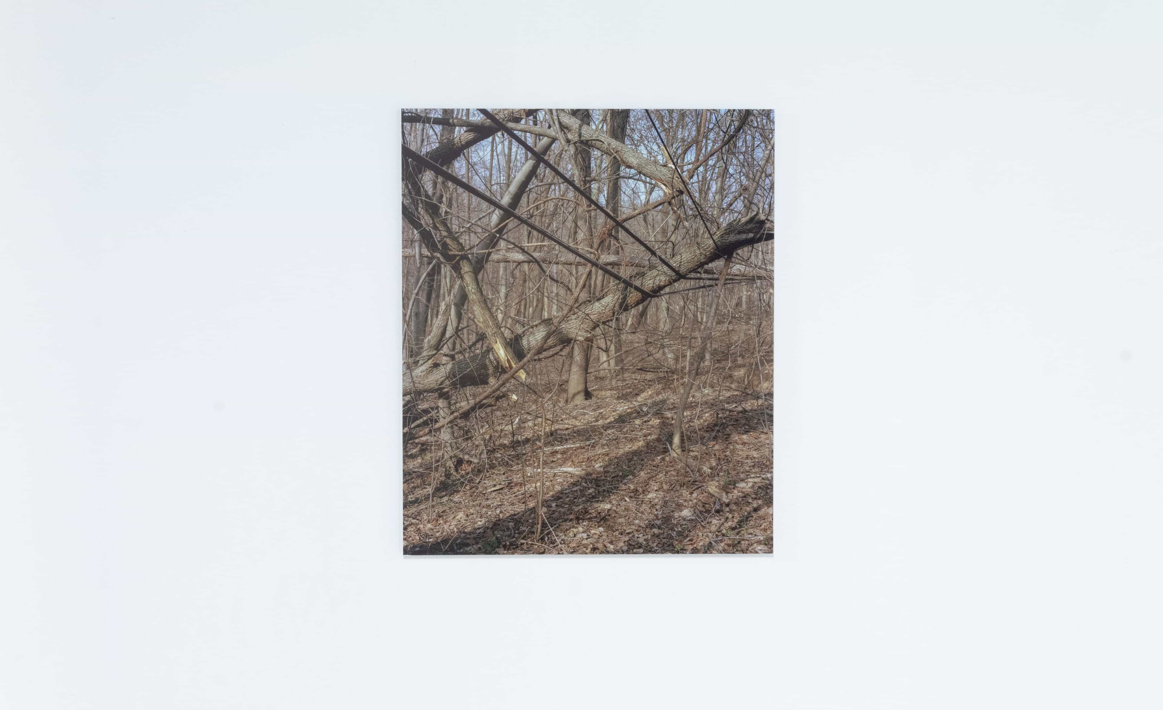 Micah Danges, Belmont Plateau (view 1), 2024, archival pigment print, 20 x 16 inches